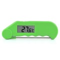 Gourmet Thermometer (green)